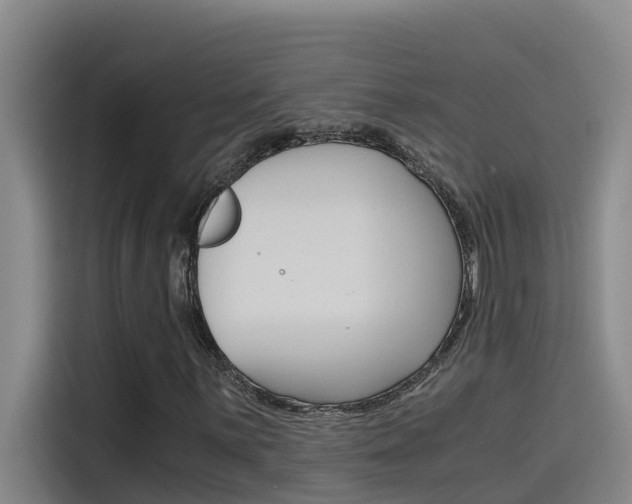 X0000115511059200911060958