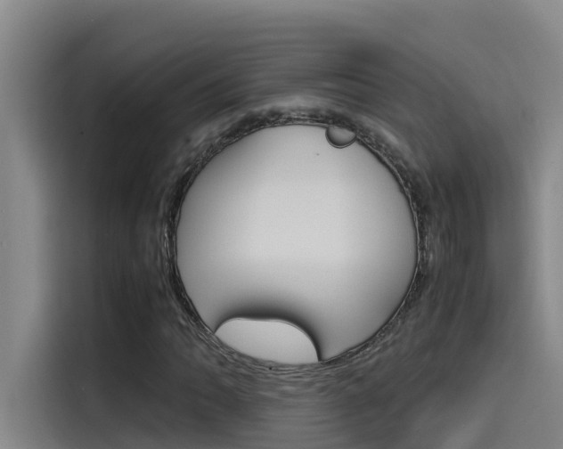X0000115511062200911060958