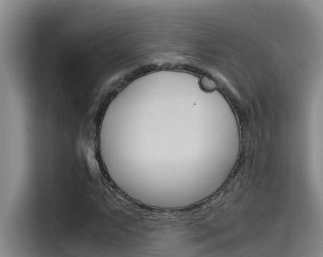 X0000115511063200911060958