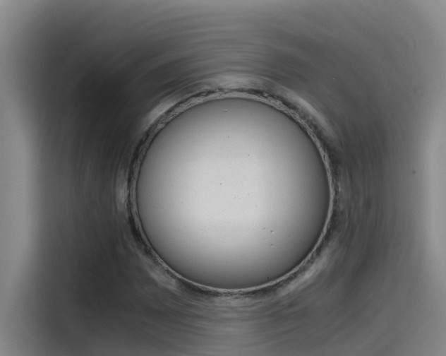 X0000115511065200911060958