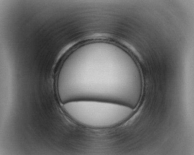 X0000115511066200911060958