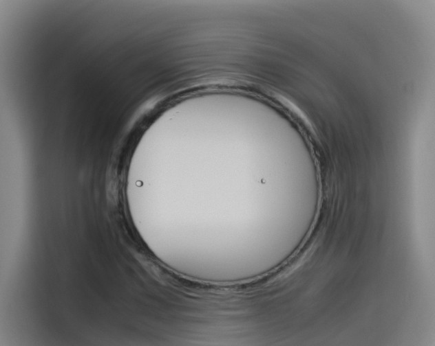 X0000115511067200911060958