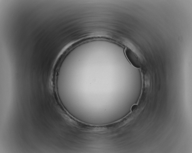 X0000115511068200911060958