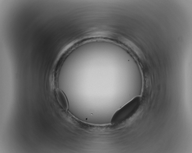X0000115511069200911060958