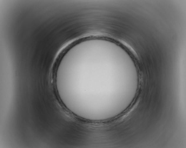 X0000115511070200911060958