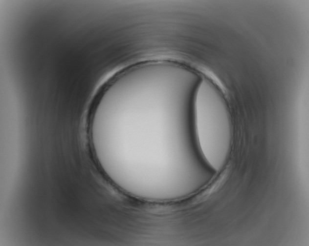 X0000115511071200911060958