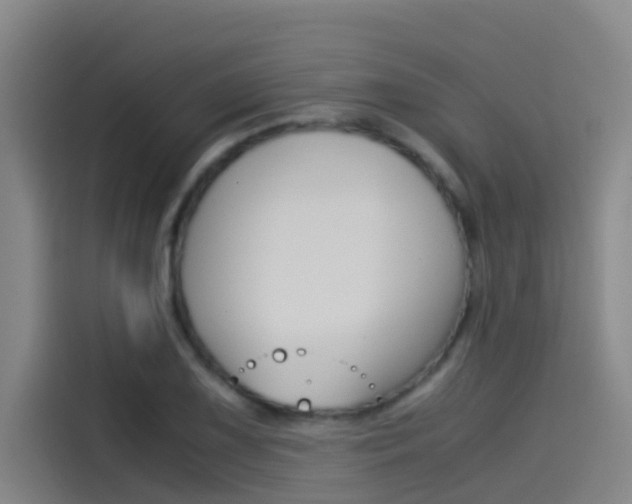 X0000115511075200911060958