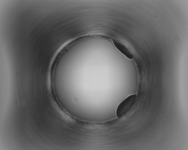 X0000115511076200911060958