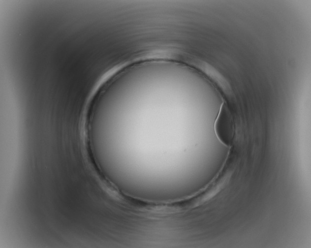 X0000115511077200911060958