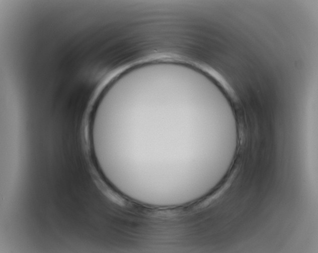 X0000115511078200911060958