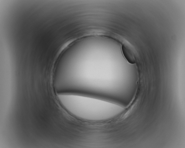 X0000115511081200911060958