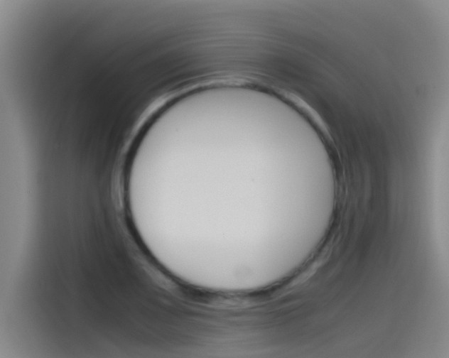 X0000115511083200911060958