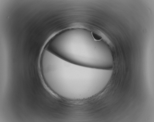 X0000115511084200911060958