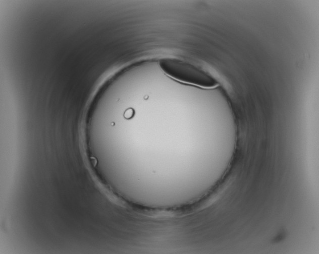 X0000115511085200911060958