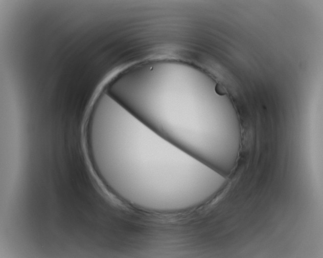 X0000115511086200911060958