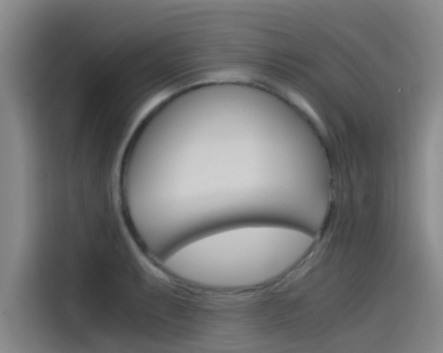 X0000115511087200911060958
