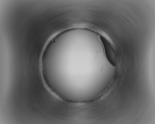 X0000115511088200911060958