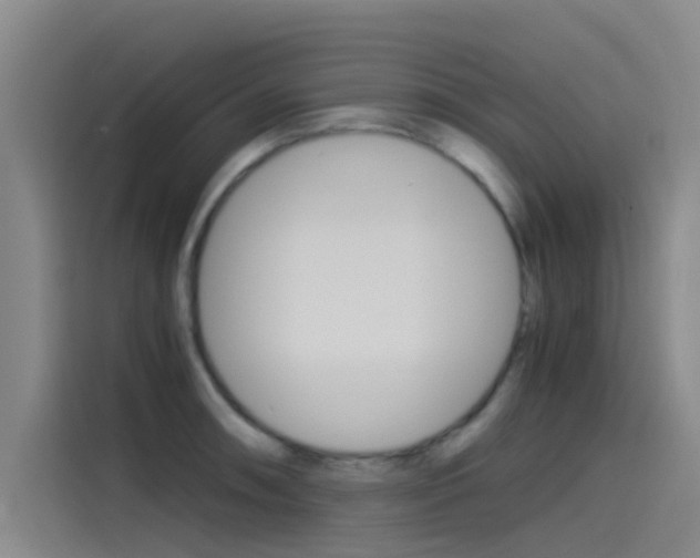X0000115511090200911060958