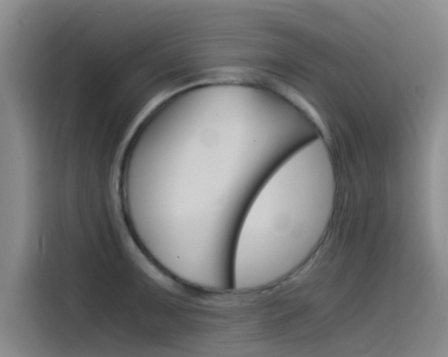 X0000115511091200911060957
