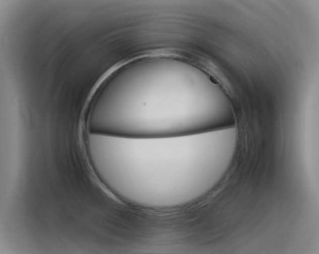 X0000115511092200911060957