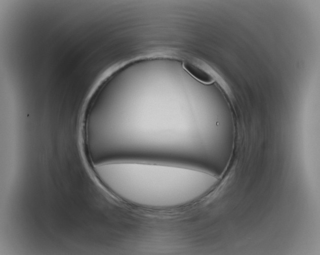X0000115511093200911060957