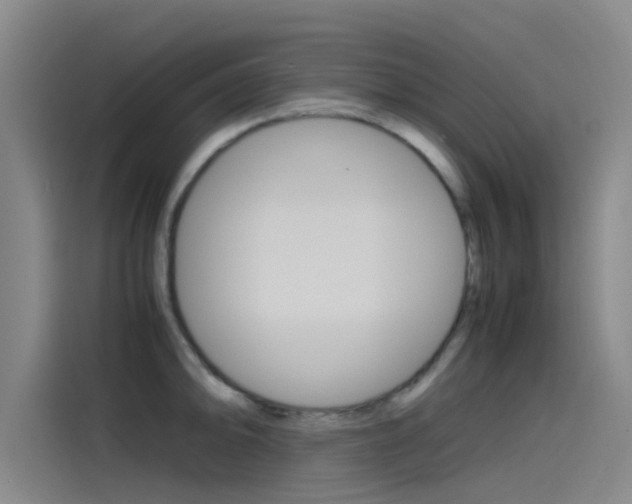 X0000115511094200911060957