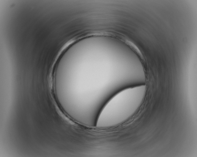 X0000115511095200911060957