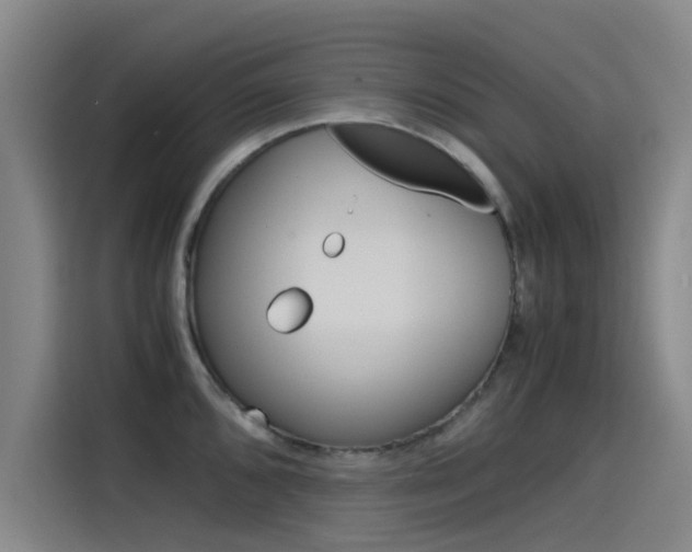X0000115511096200911060957