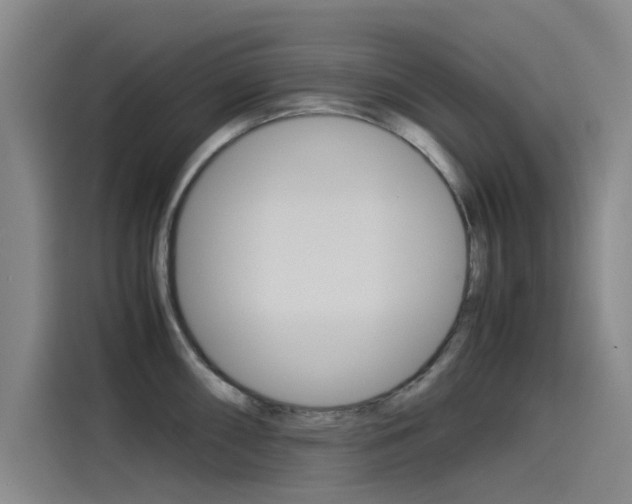 X0000115511098200911060957