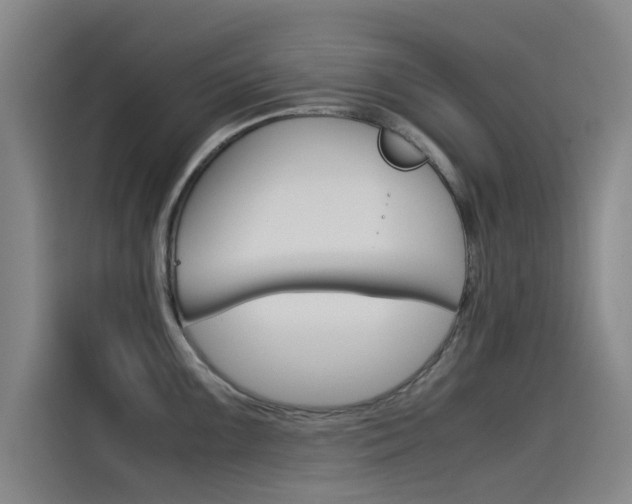 X0000115511099200911060957