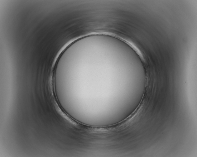 X0000115511100200911060957