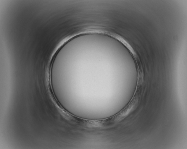 X0000115511101200911060957