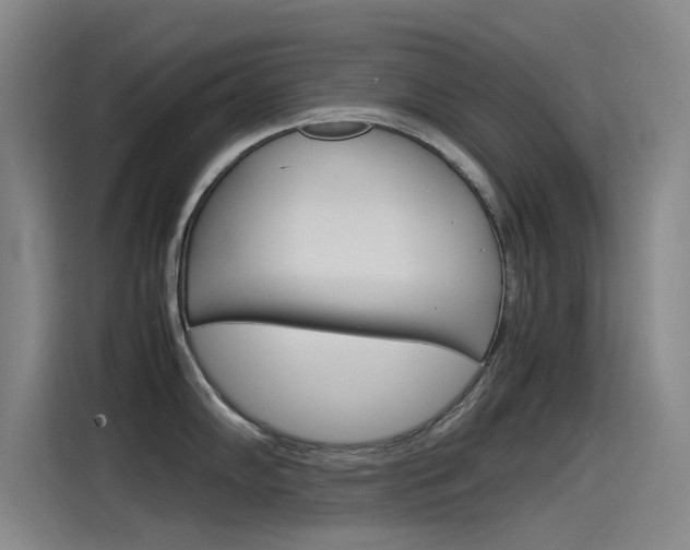 X0000115511102200911060957