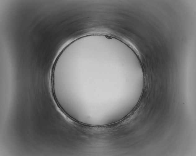 X0000115511103200911060957