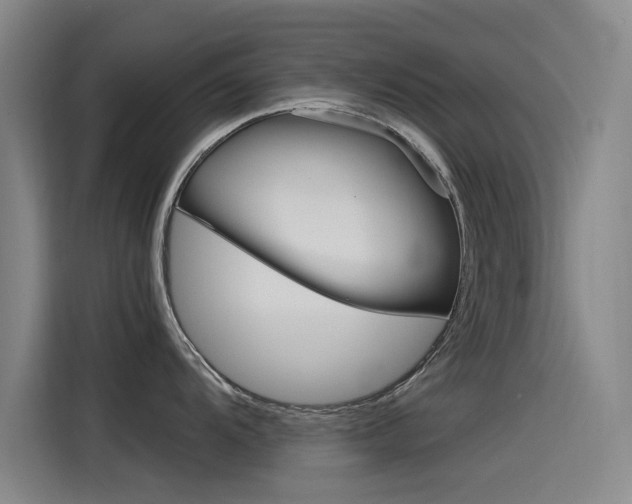 X0000115511104200911060957
