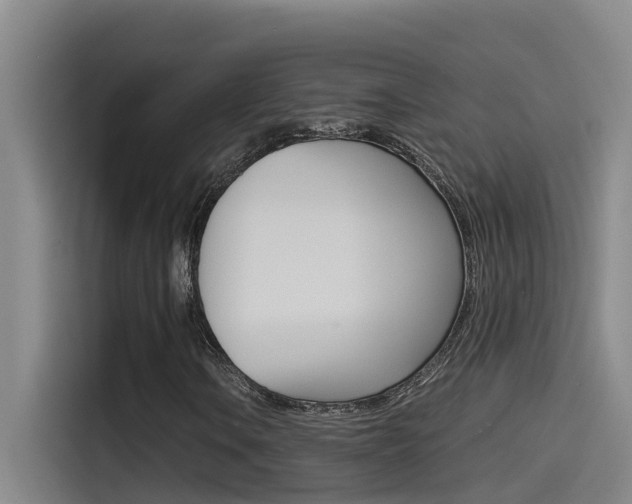 X0000115511106200911060957