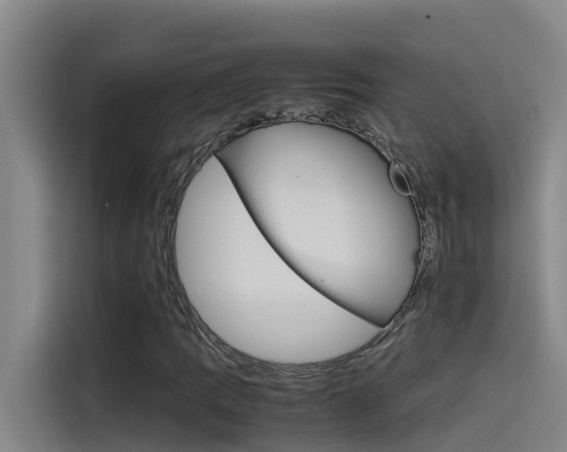 X0000115511109200911060957