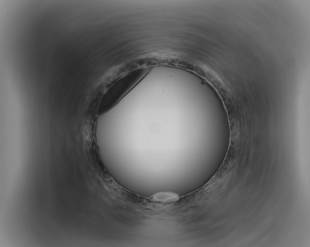 X0000115511110200911060957