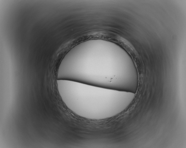 X0000115511111200911060957