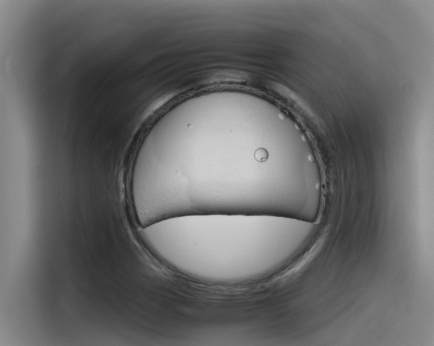 X0000115511113200911060957