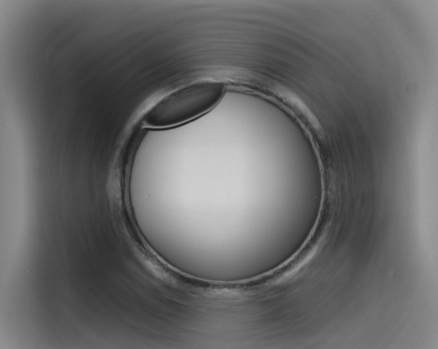 X0000115511114200911060957