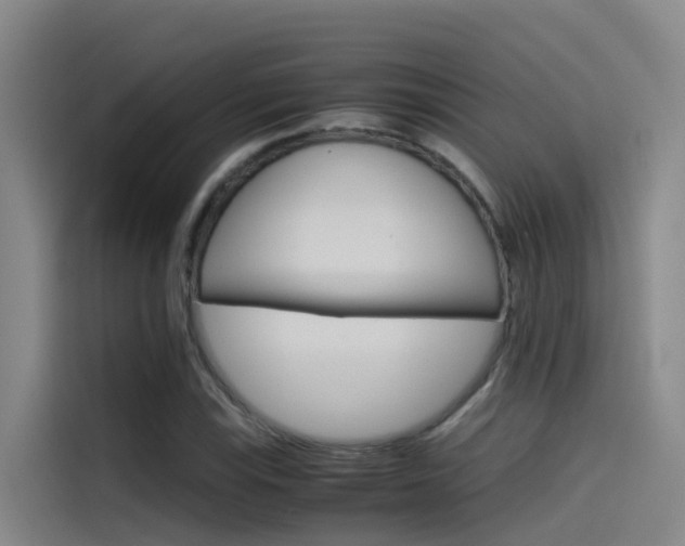 X0000115511115200911060957