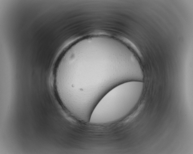 X0000115511125200911060957