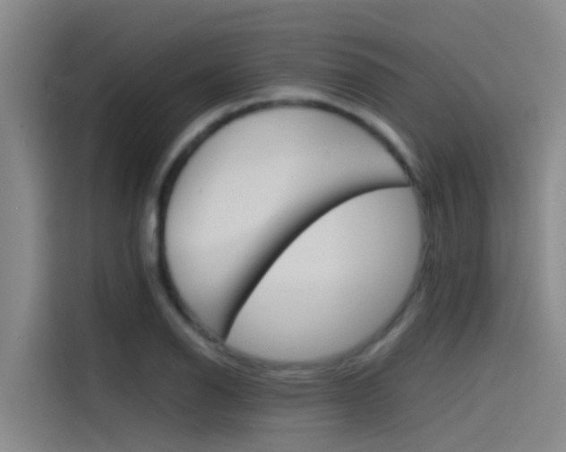 X0000115511126200911060957