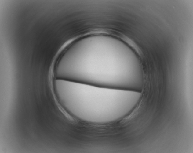 X0000115511127200911060957