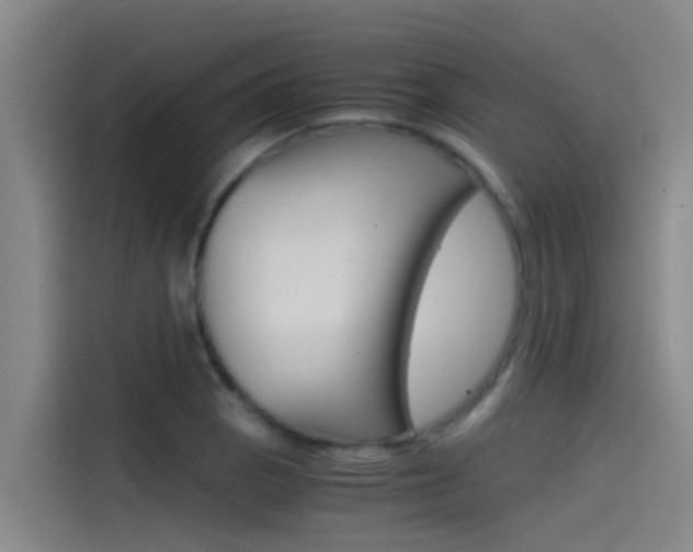 X0000115511129200911060957