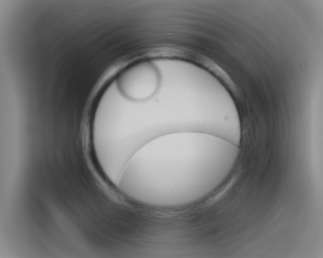 X0000115511130200911060957