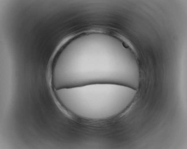 X0000115511131200911060957