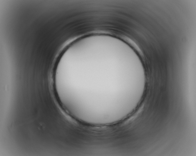 X0000115511133200911060957