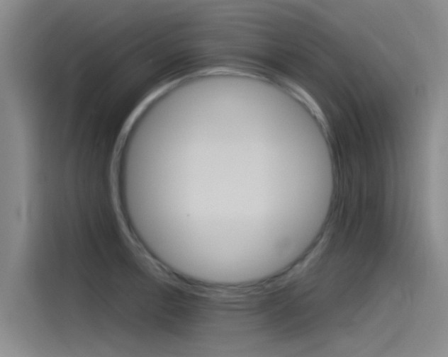 X0000115511138200911060957